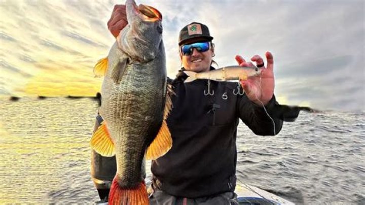 Ben Milliken Biography, Fishing, Age, Sunglasses, Wife, Net worth