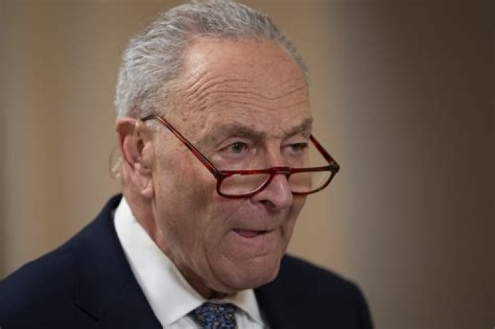 Chuck Schumer Scandal And Affair: Is He Dating Allison R. Greenfield?