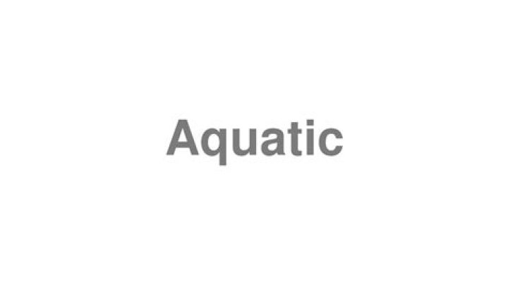 How to pronounce aquatic