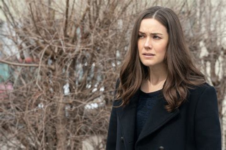 Megan Boone husband: Who is Dan Estabrook?