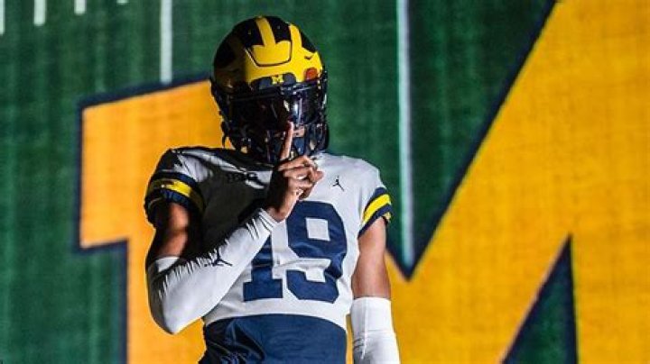 Sam Koch Contract, Salary, Net Worth, Age, College, Family, Passer Rating, Jersey
