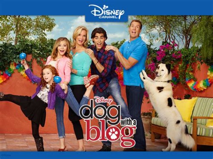 Where can i watch dog with a blog