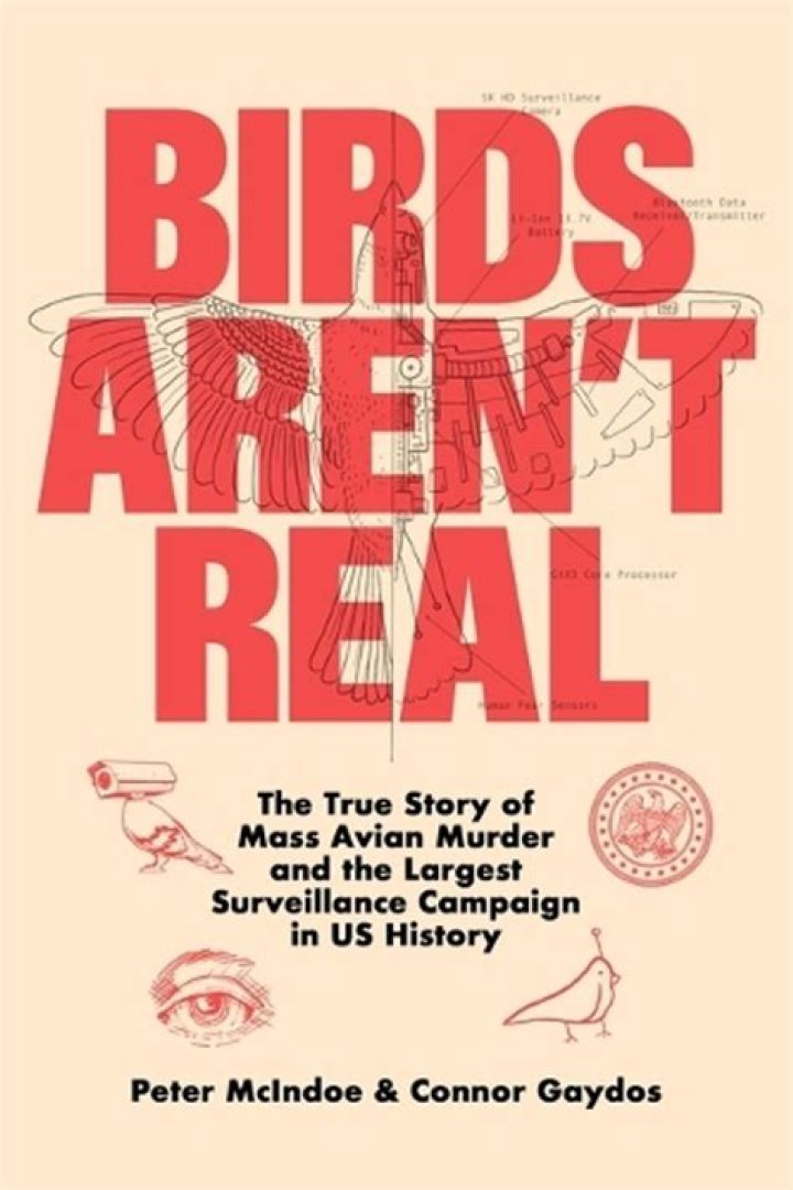 Where Is Peter Mcindoe From? “Birds Aren’t Real” Guy Parents and Hometown