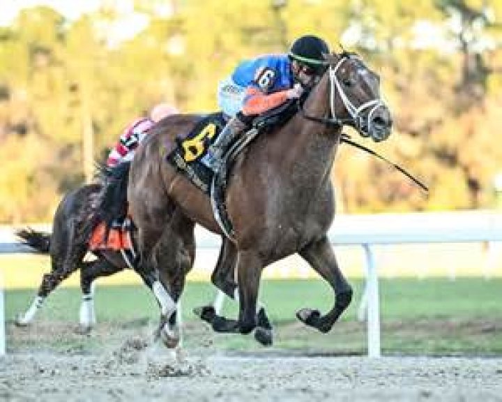 Who Is Horse Trainer Chad Brown Wife Terrill Brown? Their Age Gap And Family Ethnicity
