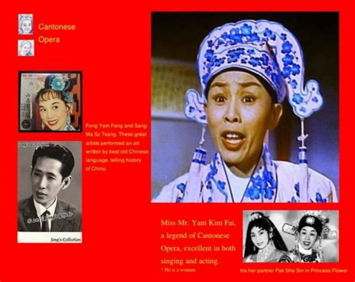 Yam Kim-fai’s biography, net worth, fact, career, awards and life story